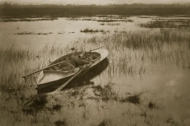 Gunner Waking up the Fowl, Life and Landscape on the Norfolk Broads